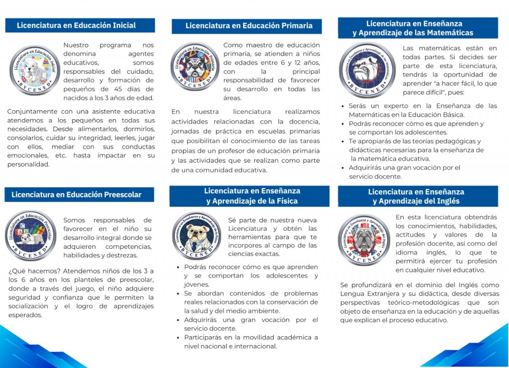 WhatsApp Image 2026-02-19 at 11.59.11 AM